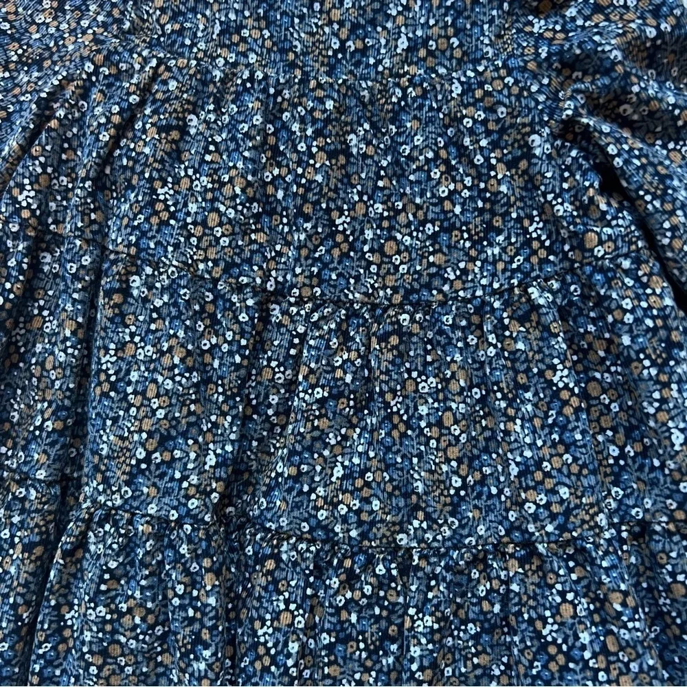 Baby Gap corded velvet floral ruffle dress size 6-12 month